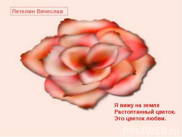 Петелин ВячеславЯ вижу на землеРастоптанный цветок.Это цветок любви.