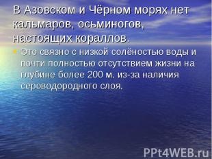 В Азовском и Чёрном морях нет кальмаров, осьминогов, настоящих кораллов. Это свя