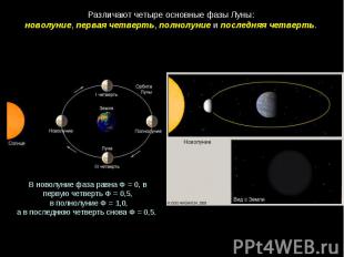 Различают четыре основные фазы Луны: новолуние, первая четверть, полнолуние и по