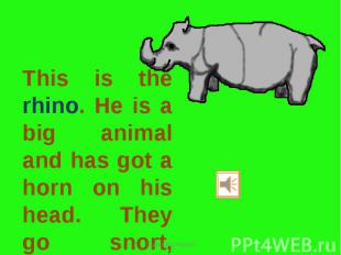 This is the rhino. He is a big animal and has got a horn on his head. They go sn
