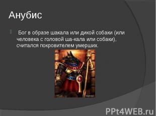 Анубис  Бог в образе шакала или дикой собаки (или человека с головой шакала или