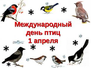 Международный день птиц1 апреля