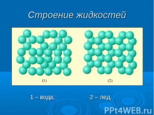 Строение жидкостей 1 – вода; 2 – лед.
