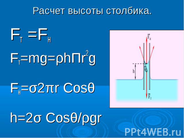 Расчет высоты столбика. Fт =FнFт=mg=ρhΠr2gFн=σ2πr Cosθh=2σ Cosθ/ρgr