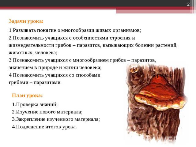 Задачи урока:Развивать понятие о многообразии живых организмов;Познакомить учащихся с особенностями строения и жизнедеятельности грибов – паразитов, вызывающих болезни растений, животных, человека;Познакомить учащихся с многообразием грибов – парази…