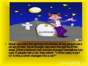 Black cats were the partners of witches. Many people were afraid of cats. Some t