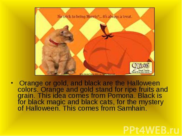 Orange or gold, and black are the Halloween colors. Orange and gold stand for ripe fruits and grain. This idea comes from Pomona. Black is for black magic and black cats, for the mystery of Halloween. This comes from Samhain.