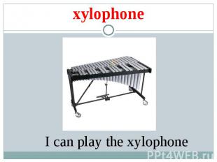 xylophone I can play the xylophone