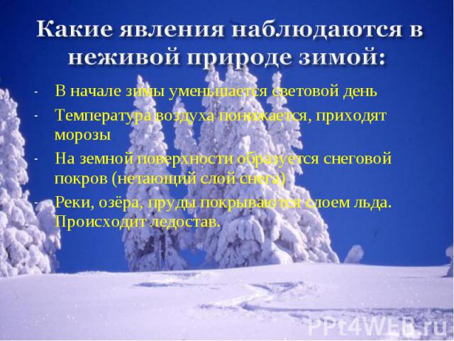 Какие явления наблюдаются в неживой природе зимой: В начале зимы уменьшается световой деньТемпература воздуха понижается, приходят морозыНа земной поверхности образуется снеговой покров (нетающий слой снега)Реки, озёра, пруды покрываются слоем льда.…