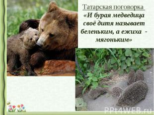 Татарская поговорка «И бурая медведица своё дитя называет беленьким, а ежиха - м