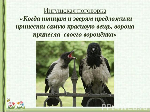 Ингушская поговорка «Когда птицам и зверям предложили принести самую красивую вещь, ворона принесла своего воронёнка»