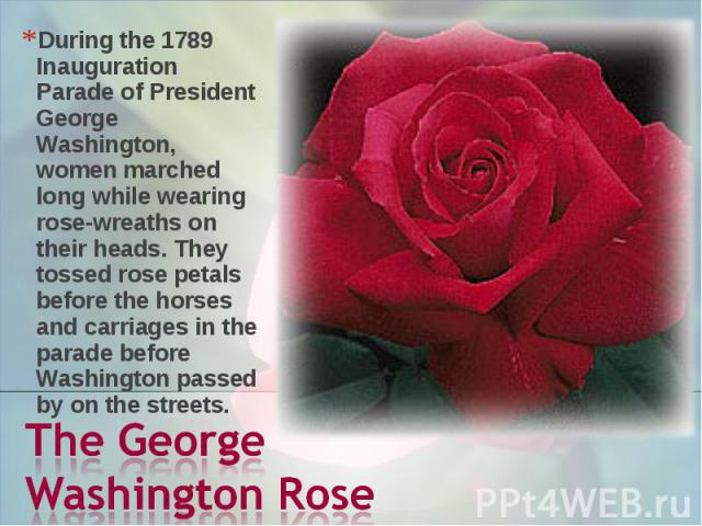 During the 1789 Inauguration Parade of President George Washington, women marched long while wearing rose-wreaths on their heads. They tossed rose petals before the horses and carriages in the parade before Washington passed by on the streets. The G…