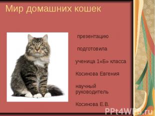 Мир домашних кошек презентацию подготовила ученица 1«Б» класса Косинова Евгения