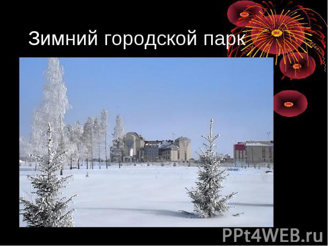 Зимний городской парк