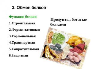 3. Обмен белков Функции белков:СтроительнаяФерментативнаяГормональнаяТранспортна