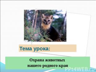 Тема урока: Охрана животных нашего родного края