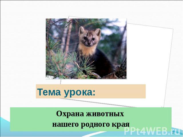 Тема урока: Охрана животных нашего родного края