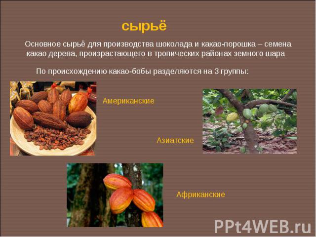 сырьёОсновное сырьё для производства шоколада и какао-порошка – семена какао дерева, произрастающего в тропических районах земного шараПо происхождению какао-бобы разделяются на 3 группы: