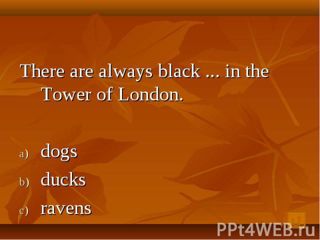 There are always black ... in the Tower of London. dogs ducks ravens
