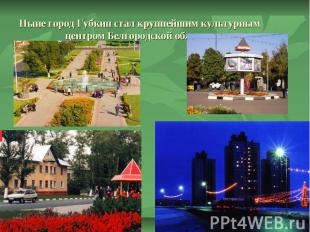 Ныне город Губкин стал крупнейшим культурным центром Белгородской области.