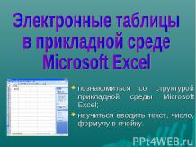 Электронные таблицы в прикладной среде Microsoft Excel
