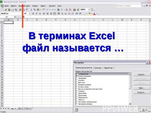 В терминах Excel файл называется …