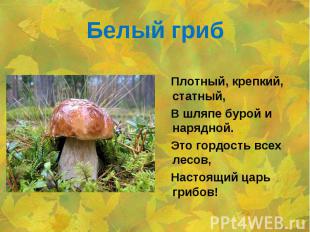 Белый гриб Плотный, крепкий, статный, В шляпе бурой и нарядной. Это гордость все