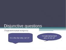 Disjunctive questions