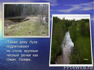 Также реку Луза подпитывают не столь крупные лесные речки как Ожин, Пожма.