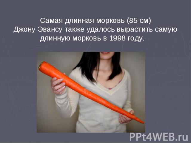 Самая длинная морковь (85 см) Джону Эвансу также удалось вырастить самую длинную морковь в 1998 году.