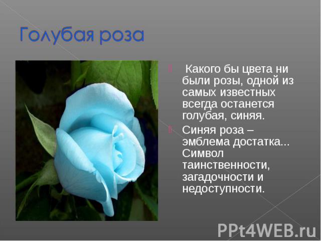 Голубая роза Какого бы цвета ни были розы, одной из самых известных всегда останется голубая, синяя. Синяя роза – эмблема достатка...Символ таинственности, загадочности и недоступности.