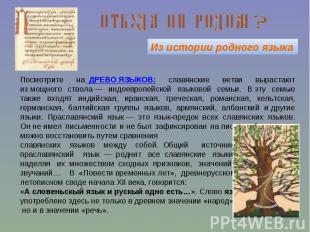 Из истории родного языкаПосмотрите на  ДРЕВО ЯЗЫКОВ: славянские ветви вырастают