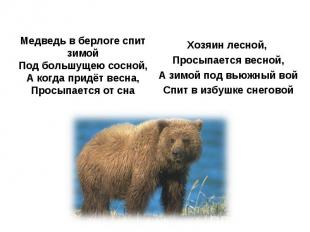 Медведь в берлоге спит зимойПод большущею сосной,А когда придёт весна, Просыпает