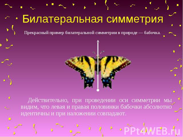 Билатеральная симметрияПрекрасный пример билатеральной симметрии в природе — бабочка. Действительно, при проведении оси симметрии мы видим, что левая и правая половинки бабочки абсолютно идентичны и при наложении совпадают.