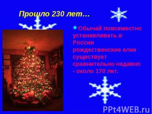 Прошло 230 лет…Обычай повсеместно устанавливать в России рождественские елки сущ
