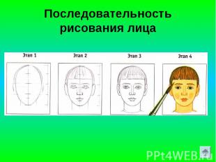 Последовательность рисования лица