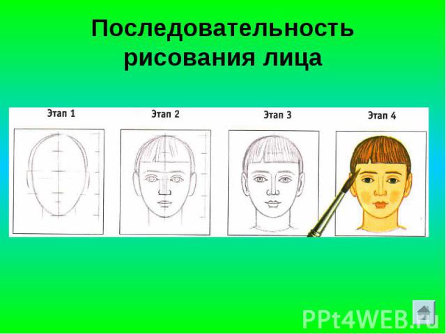 Последовательность рисования лица