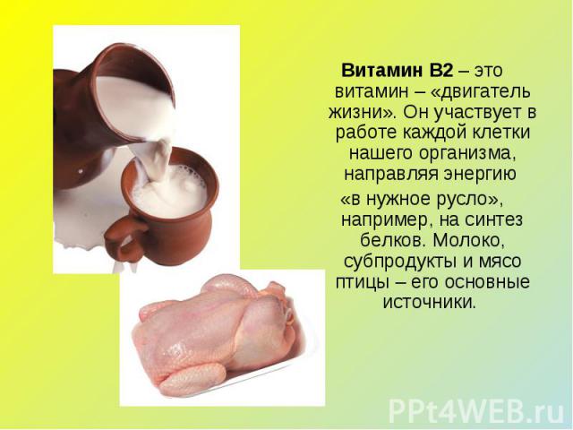 Витамин В2 – это витамин – «двигатель жизни». Он участвует в работе каждой клетки нашего организма, направляя энергию «в нужное русло», например, на синтез белков. Молоко, субпродукты и мясо птицы – его основные источники.
