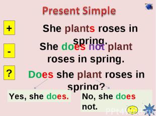 Present SimpleShe plants roses in spring.She does not plant roses in spring.Does
