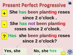 Present Perfect ProgressiveShe has been planting roses since 2 o’clock .She has
