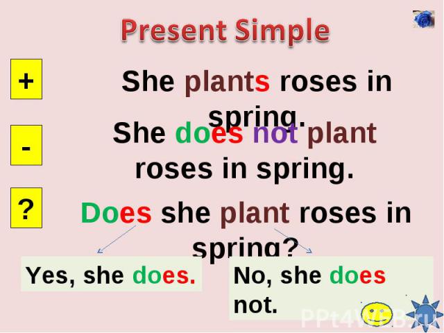 Present SimpleShe plants roses in spring.She does not plant roses in spring.Does she plant roses in spring?Yes, she does.No, she does not.