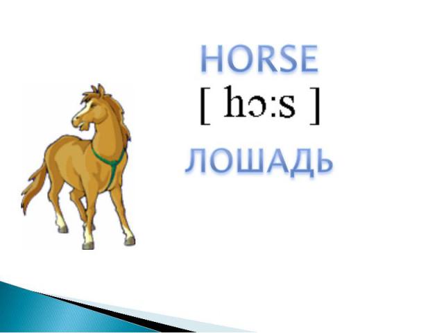 HORSE ЛОШАДЬ