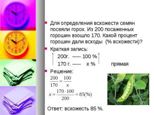Решите задачу с помощью пропорции:Для определения всхожести семян посеяли горох.