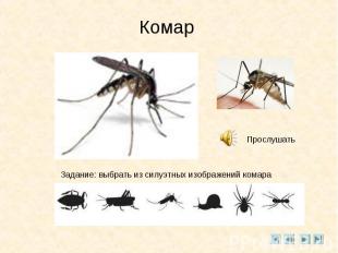 КомарЗадание: выбрать из силуэтных изображений комара