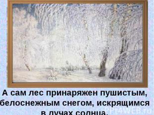 А сам лес принаряжен пушистым, белоснежным снегом, искрящимся в лучах солнца.