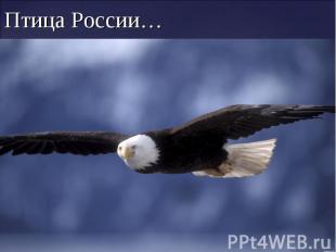 Птица России…