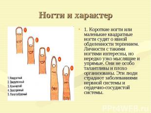 Ногти и характер1. Короткие ногти или маленькие квадратные ногти судят о явной о