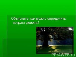 Объясните, как можно определить возраст дерева?