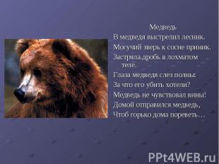 МедведьВ медведя выстрелил лесник.Могучий зверь к сосне приник.Застряла дробь в
