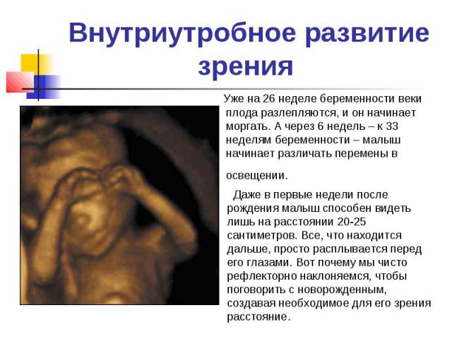 Внутриутробное развитие зрения Уже на 26 неделе беременности веки плода разлепляются, и он начинает моргать. А через 6 недель – к 33 неделям беременности – малыш начинает различать перемены в освещении.   Даже в первые недели после рождения малыш сп…